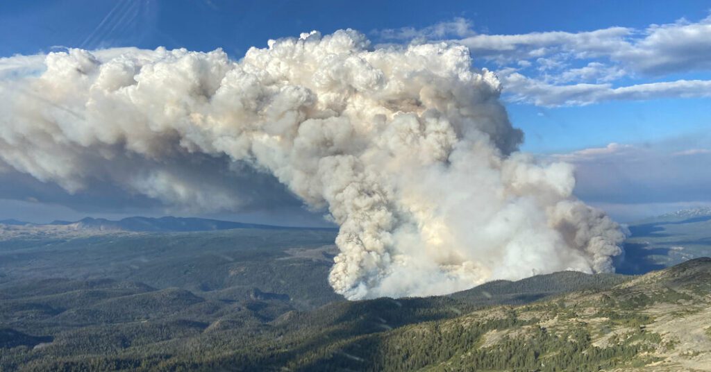 Como combater os incêndios florestais no Canadá na era das mudanças climáticas
