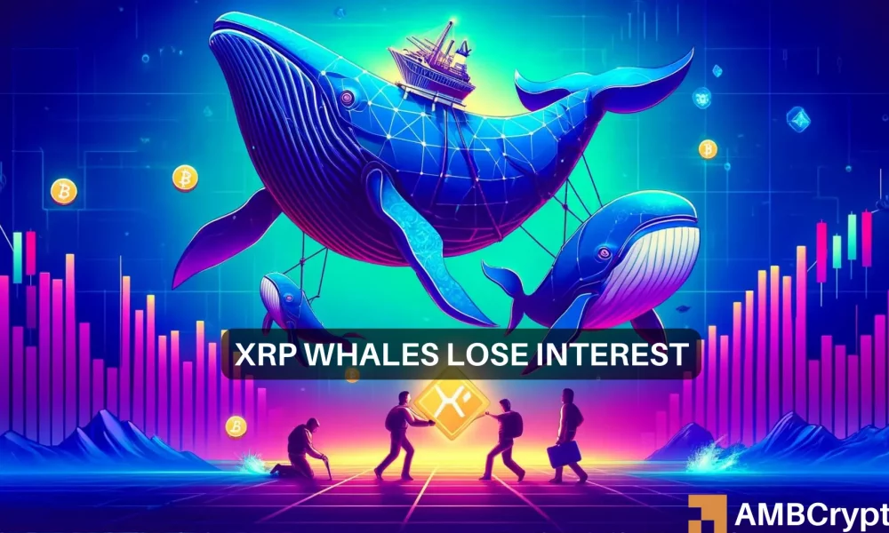 Explorando a liquidação do XRP: quando as baleias começarem a sair, elas deveriam fazer o mesmo?
