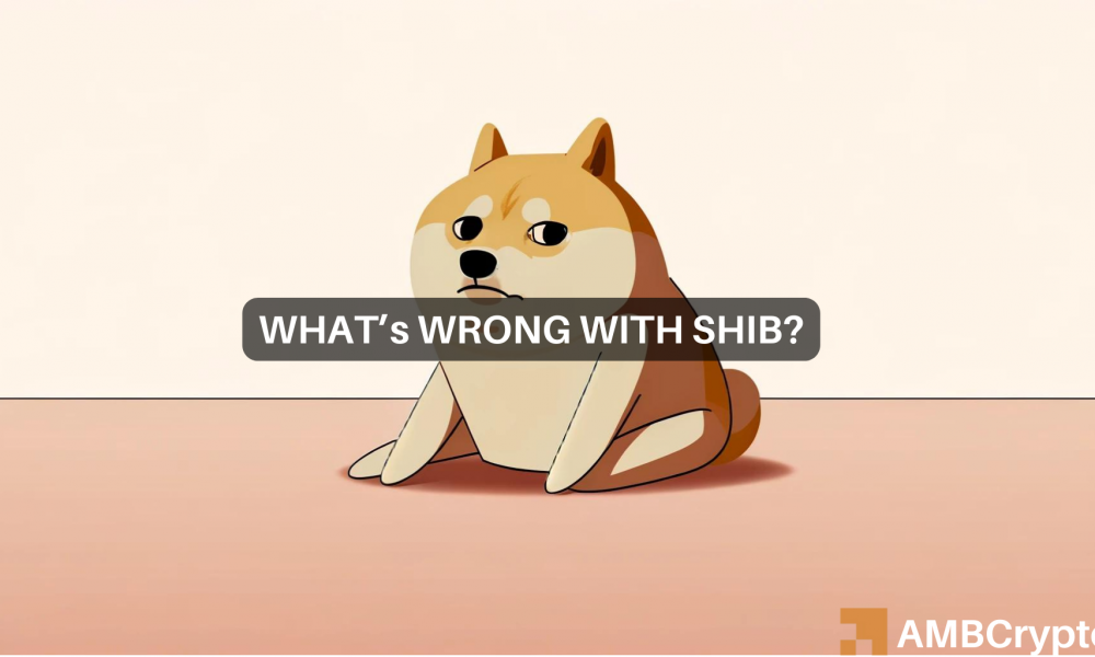 Shiba Inu: As transações de Shibário diminuem significativamente: isso afetará o SHIB?